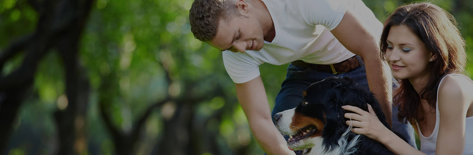 Dog Boarding, Lodging Riverview, Brandon FL Canine Cabana