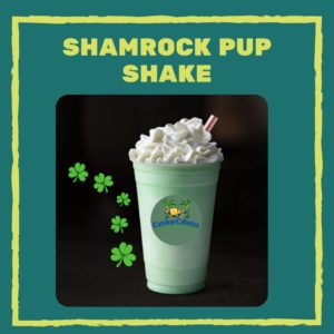 shamrock pup shake