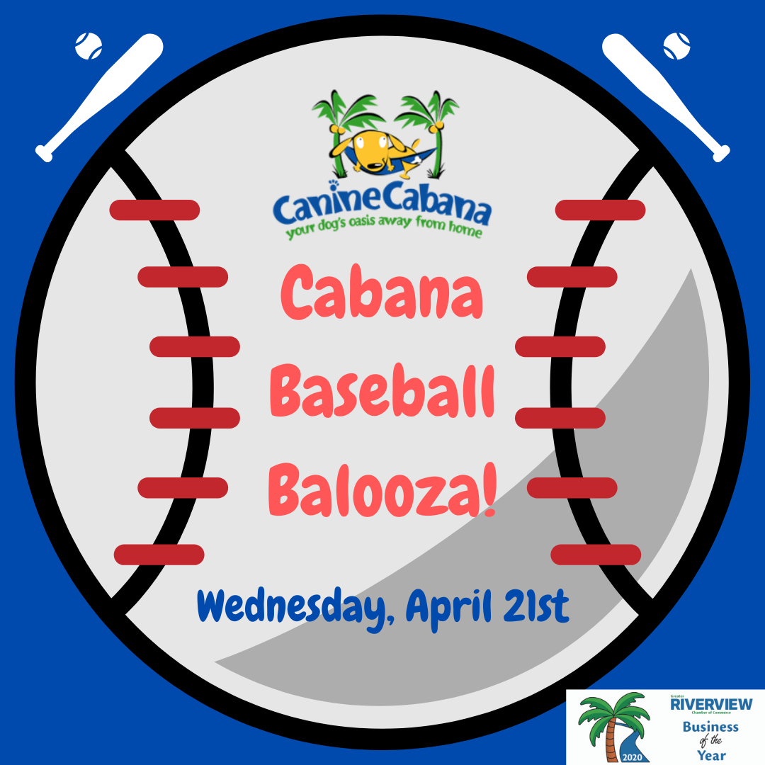 https://caninecabana.biz/wp-content/uploads/2021/04/Cabana-Baseball-Balooza.png