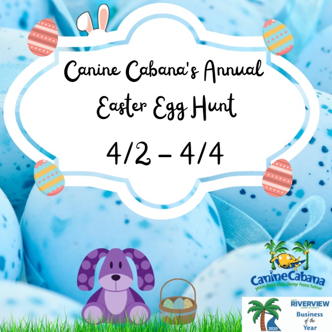 https://caninecabana.biz/wp-content/uploads/2021/04/egghunt.jpg