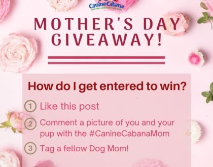 https://caninecabana.biz/wp-content/uploads/2021/05/Mothers-day-giveaway-420x330-1.jpg