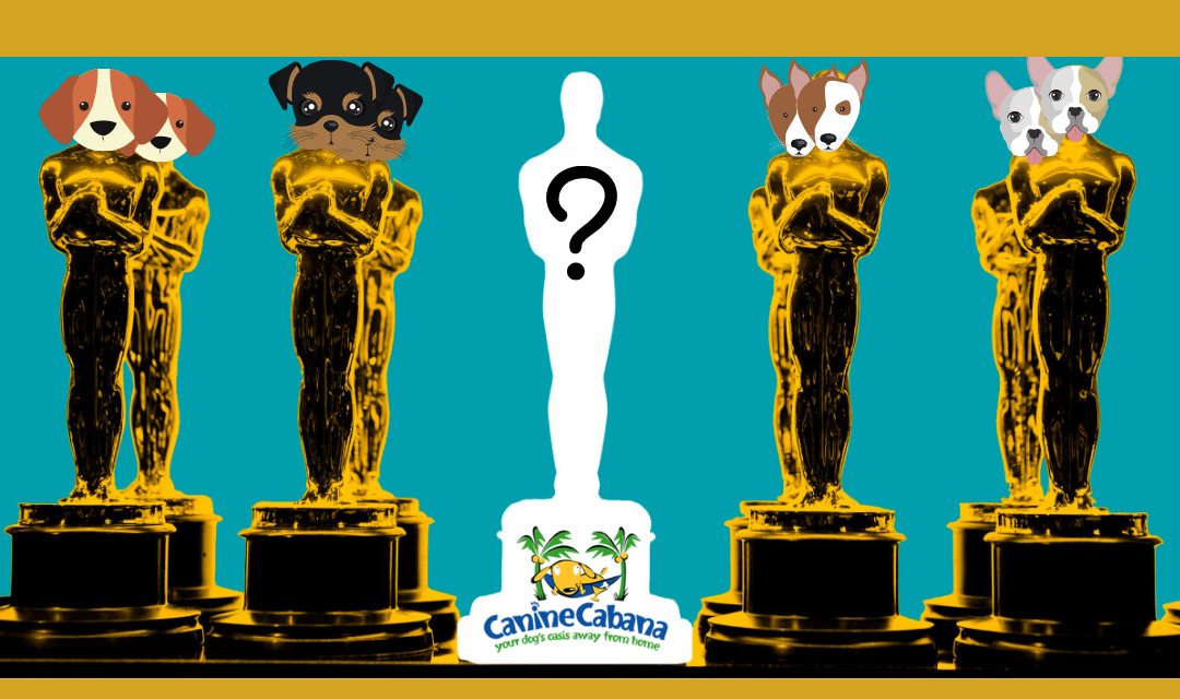https://caninecabana.biz/wp-content/uploads/2022/01/8th-Annual-Pawscars-1080x640.png