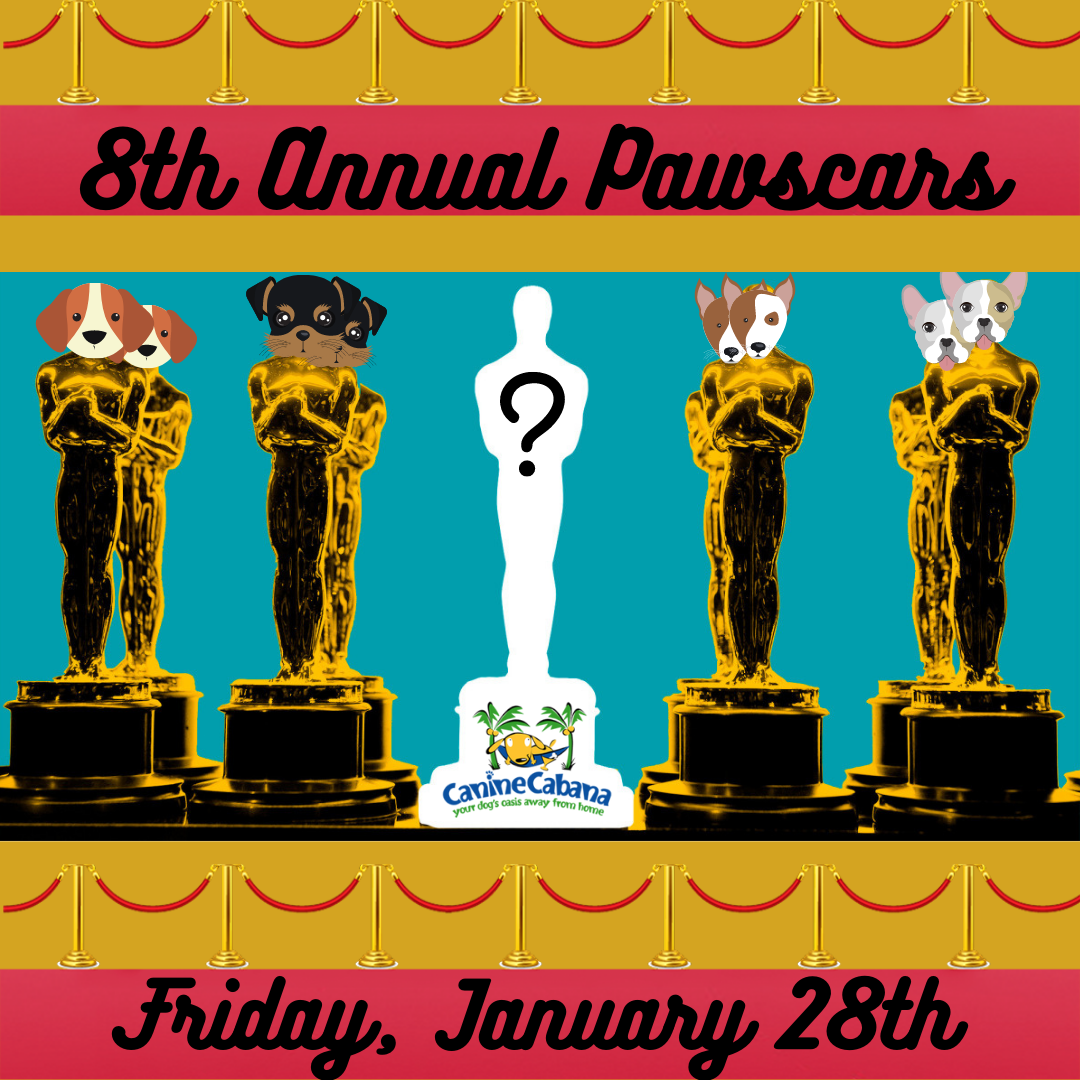 https://caninecabana.biz/wp-content/uploads/2022/01/8th-Annual-Pawscars.png