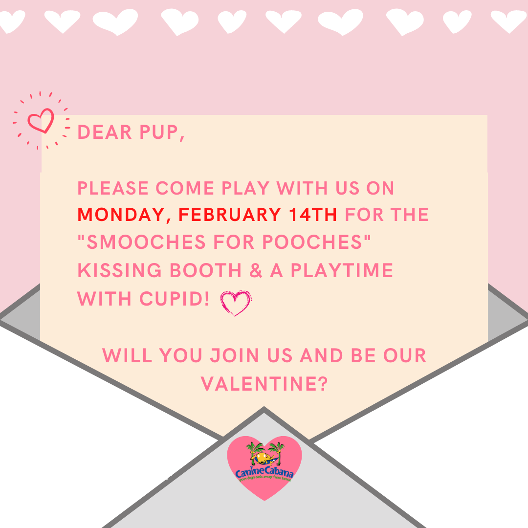 https://caninecabana.biz/wp-content/uploads/2022/02/Smooches-for-Pooches-event-for-newsletter.png