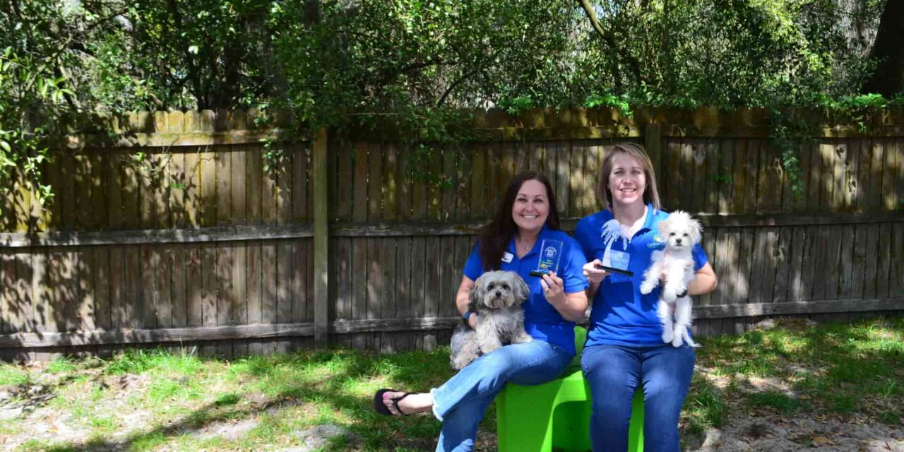 https://caninecabana.biz/wp-content/uploads/2026/09/award-KD-AP-1280x640.jpg