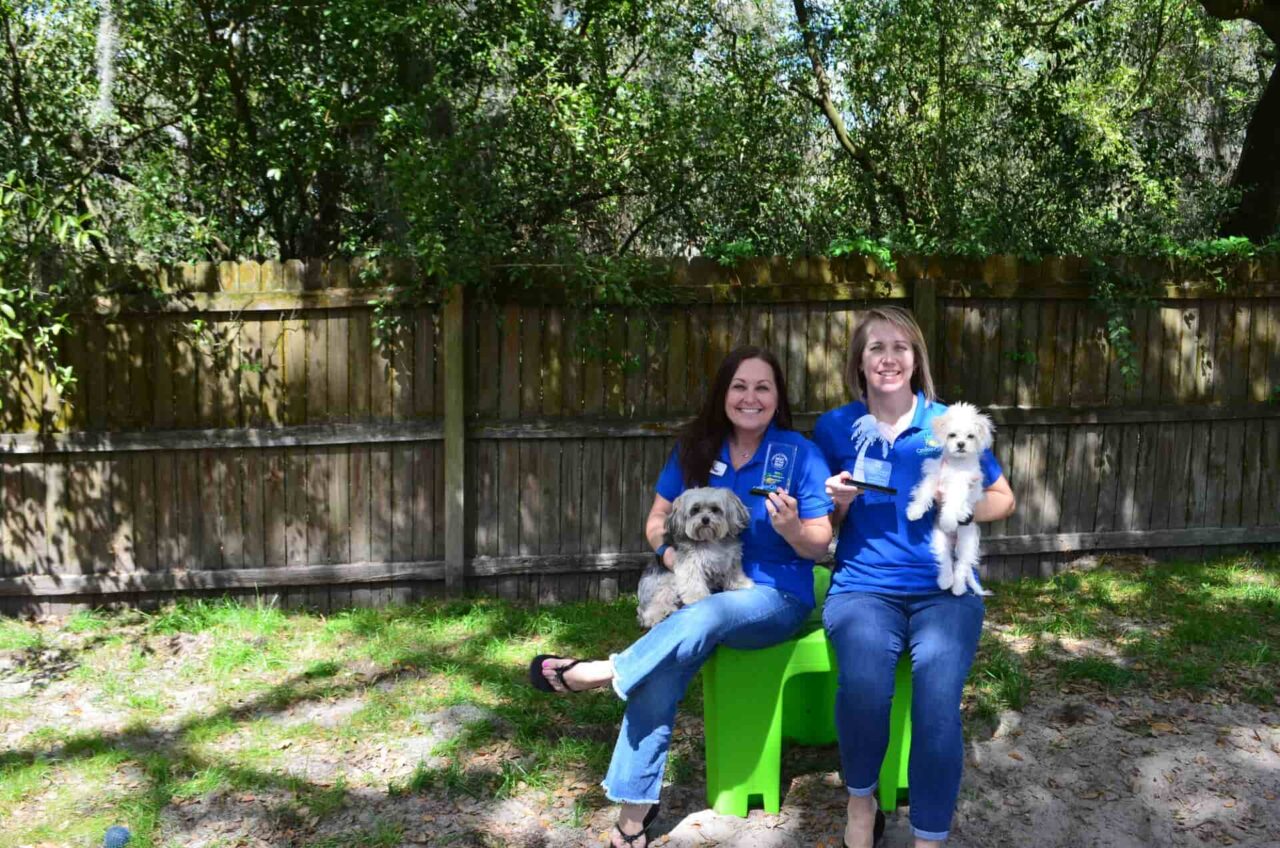 https://caninecabana.biz/wp-content/uploads/2026/09/award-KD-AP-1280x848.jpg